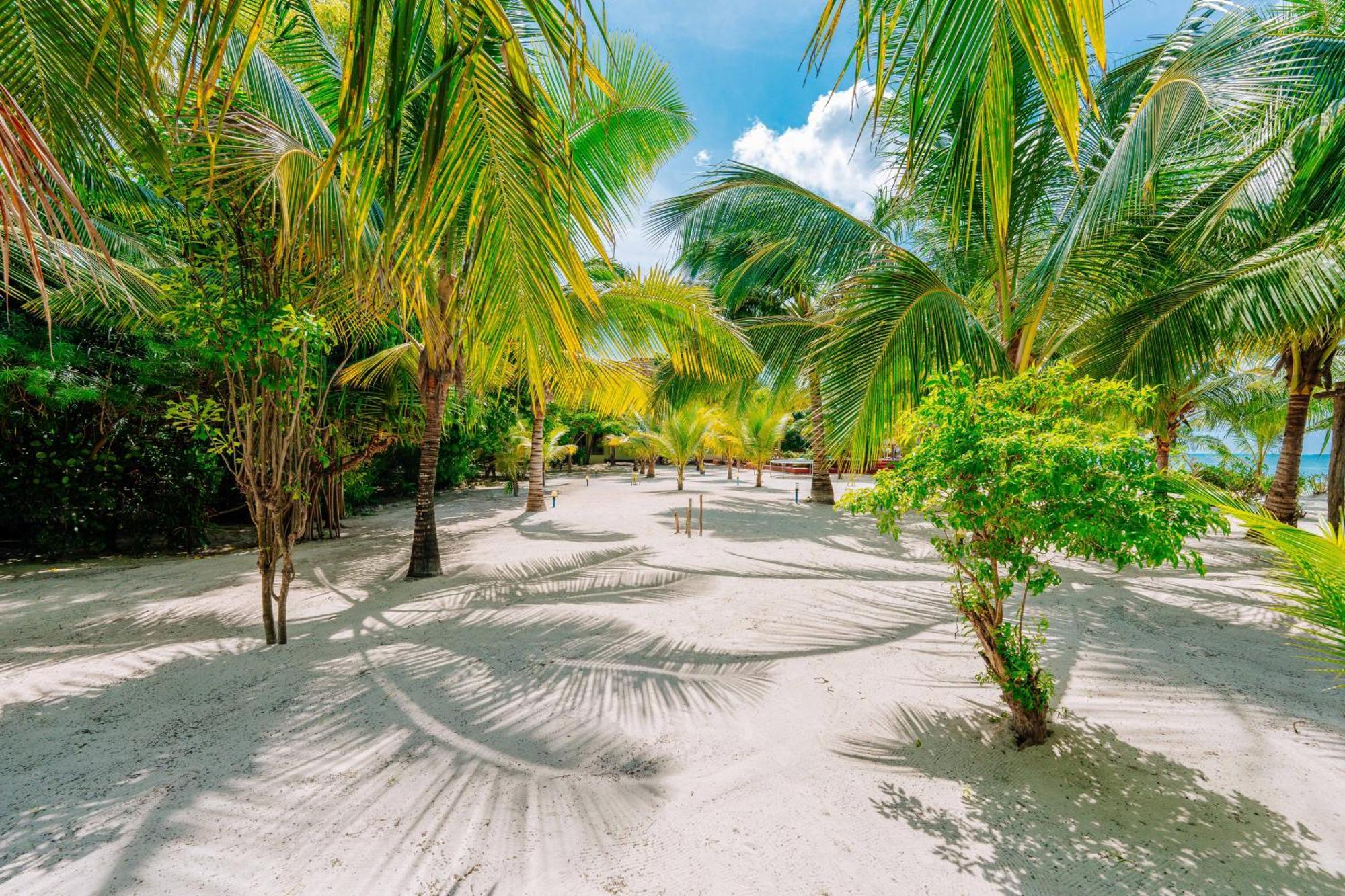 Ifa Beach Resort Jambiani  Exterior photo